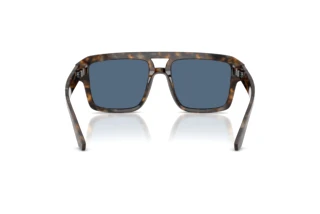Rear view Dolce & Gabbana DG4562 (350080)