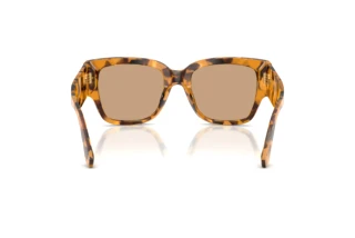 Rear view Dolce & Gabbana DG4563 (349663)