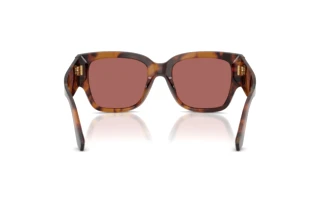 Rear view Dolce & Gabbana DG4563 (349769)