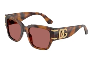 Front view Dolce & Gabbana DG4563 (349769)
