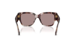Rear view Dolce & Gabbana DG4563 (3498LA)