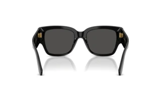Rear view Dolce & Gabbana DG4563 (501/87)