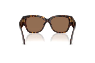 Rear view Dolce & Gabbana DG4563 (502/73)