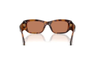 Rear view Dolce & Gabbana DG4564 (3497/3)