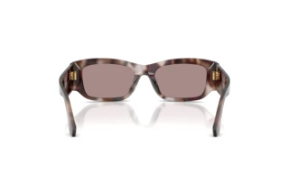 Rear view Dolce & Gabbana DG4564 (3498LA)