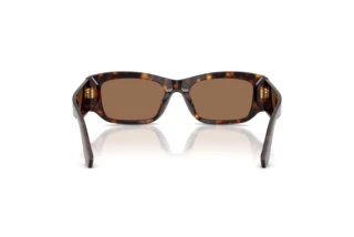 Rear view Dolce & Gabbana DG4564 (502/73)