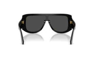 Rear view Dolce & Gabbana DG4565 (501/87)