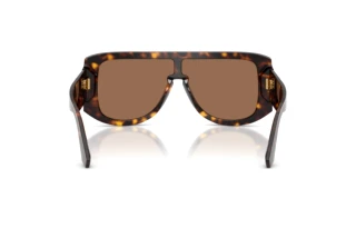 Rear view Dolce & Gabbana DG4565 (502/73)