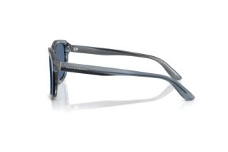 Side view Dolce & Gabbana DG4566 (348280)