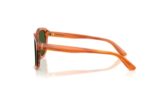 Side view Dolce & Gabbana DG4566 (34839A)