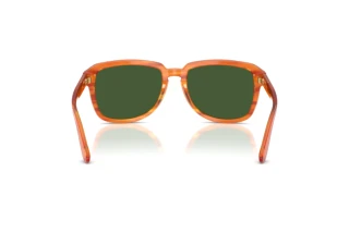 Rear view Dolce & Gabbana DG4566 (34839A)