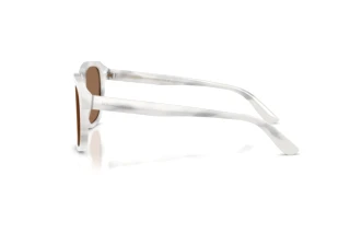 Side view Dolce & Gabbana DG4566 (349573)