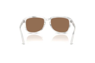 Rear view Dolce & Gabbana DG4566 (349573)