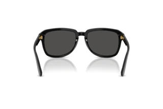 Rear view Dolce & Gabbana DG4566 (501/87)