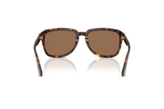 Rear view Dolce & Gabbana DG4566 (502/73)