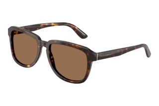 Front view Dolce & Gabbana DG4566 (502/73)