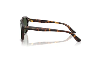 Side view Dolce & Gabbana DG4566 (502/9A)
