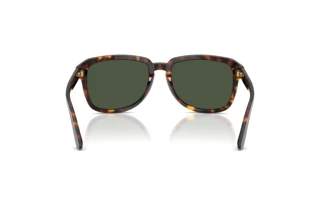 Rear view Dolce & Gabbana DG4566 (502/9A)
