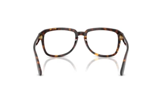 Rear view Dolce & Gabbana DG4566 (502/SB)