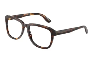 Front view Dolce & Gabbana DG4566 (502/SB)