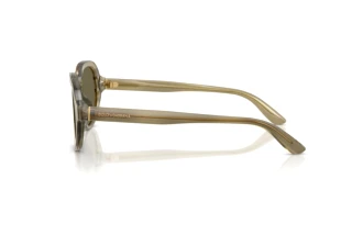 Side view Dolce & Gabbana DG4567 (3480/3)