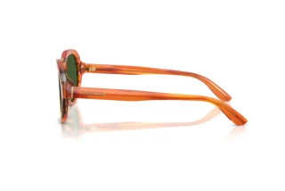 Side view Dolce & Gabbana DG4567 (348371)