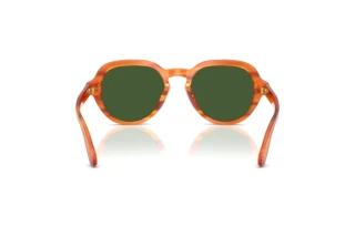 Rear view Dolce & Gabbana DG4567 (348371)