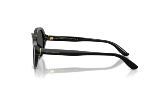 Side view Dolce & Gabbana DG4567 (501/87)