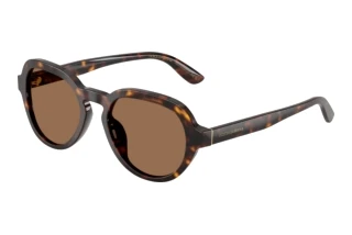 Front view Dolce & Gabbana DG4567 (502/73)