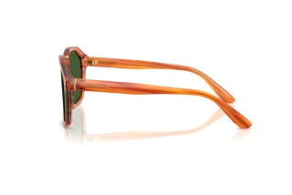 Side view Dolce & Gabbana DG4568 (34839A)