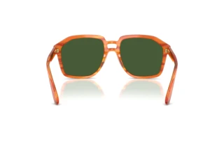 Rear view Dolce & Gabbana DG4568 (34839A)