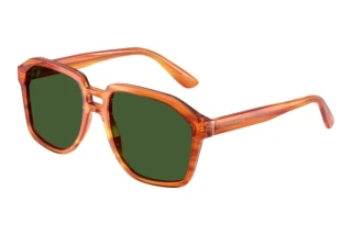 Front view Dolce & Gabbana DG4568 (34839A)