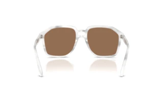 Rear view Dolce & Gabbana DG4568 (349573)