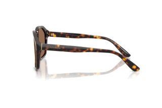 Side view Dolce & Gabbana DG4568 (502/73)