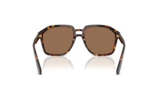 Rear view Dolce & Gabbana DG4568 (502/73)