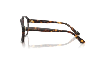Side view Dolce & Gabbana DG4568 (502/SB)