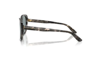 Side view Dolce & Gabbana DG4569 (3172/1)