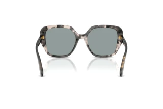Rear view Dolce & Gabbana DG4569 (3172/1)
