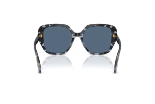 Rear view Dolce & Gabbana DG4569 (344380)