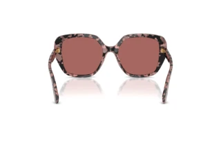Rear view Dolce & Gabbana DG4569 (347669)