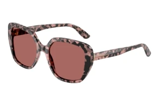 Front view Dolce & Gabbana DG4569 (347669)