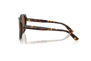Side view Dolce & Gabbana DG4569 (502/73)