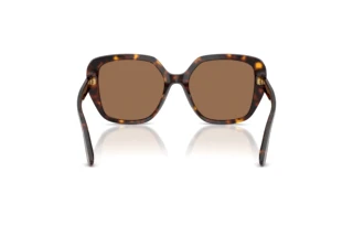 Rear view Dolce & Gabbana DG4569 (502/73)