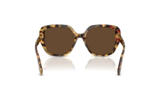 Rear view Dolce & Gabbana DG4569 (512/73)