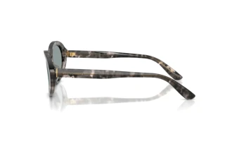 Side view Dolce & Gabbana DG4570 (3172/1)