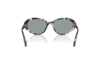 Rear view Dolce & Gabbana DG4570 (3172/1)