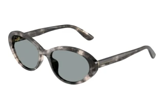 Front view Dolce & Gabbana DG4570 (3172/1)