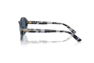 Side view Dolce & Gabbana DG4570 (344380)