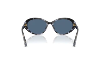 Rear view Dolce & Gabbana DG4570 (344380)