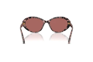 Rear view Dolce & Gabbana DG4570 (347669)